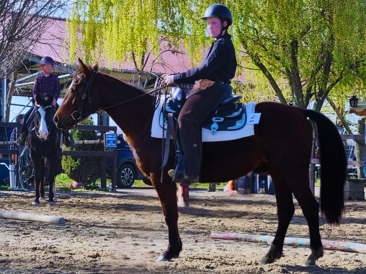 Jument Quarter Horse 5 ans PP