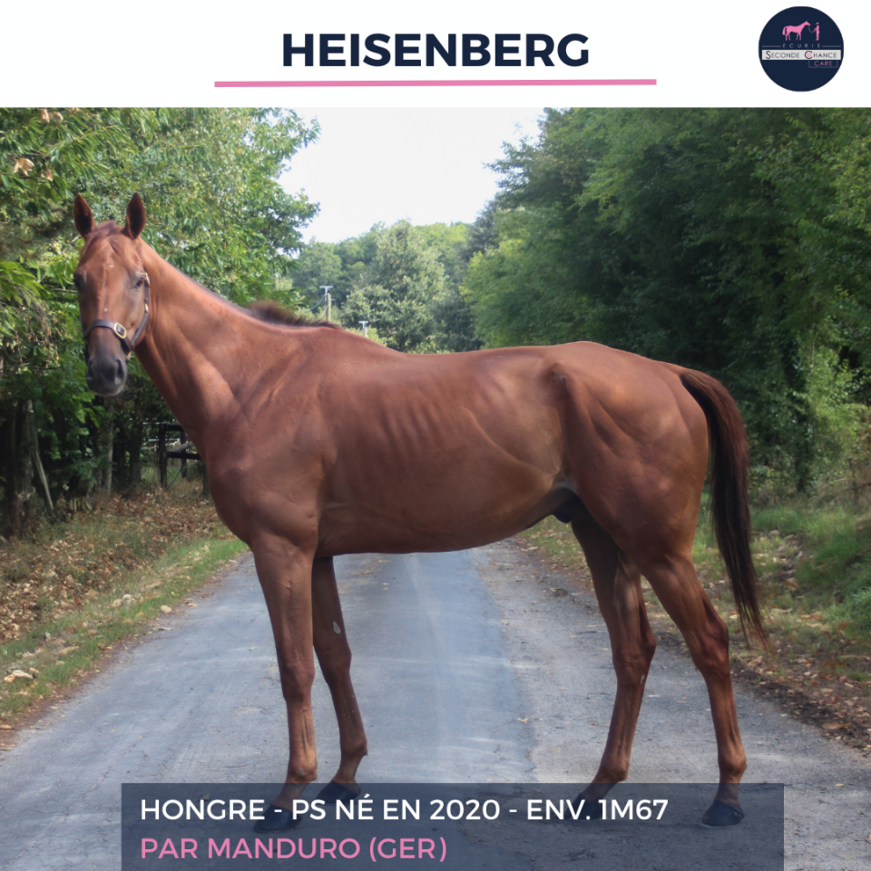 HEISENBERG - PS - 5 ANS