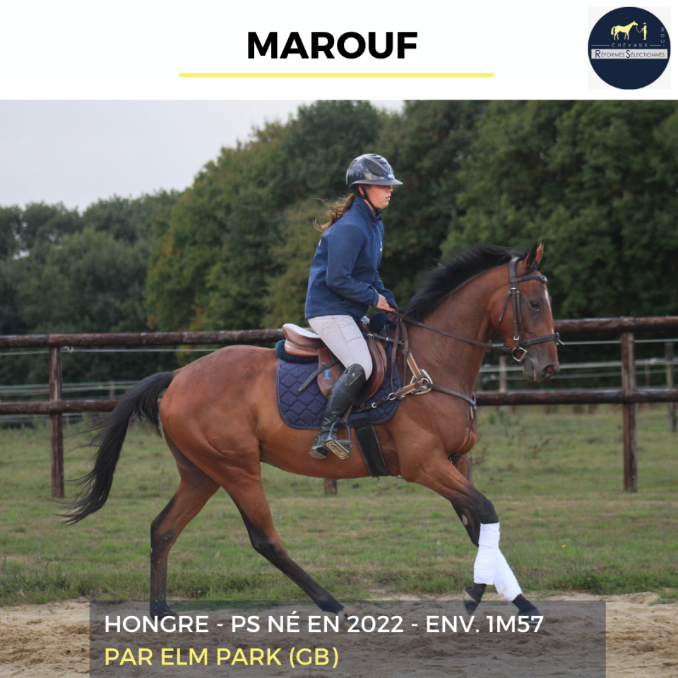 MAROUF - PS - 3 ANS 