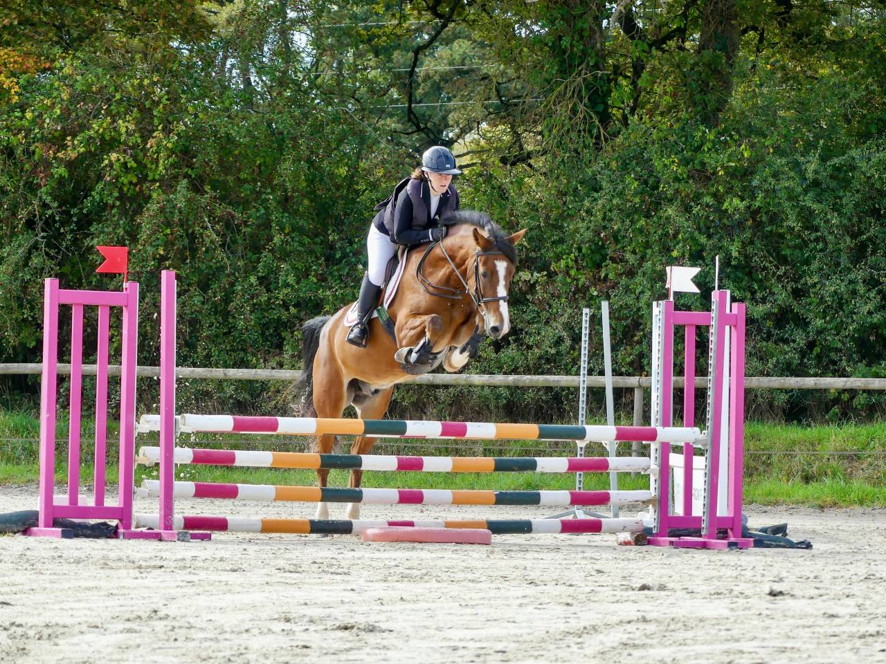 Poney NF 5ans