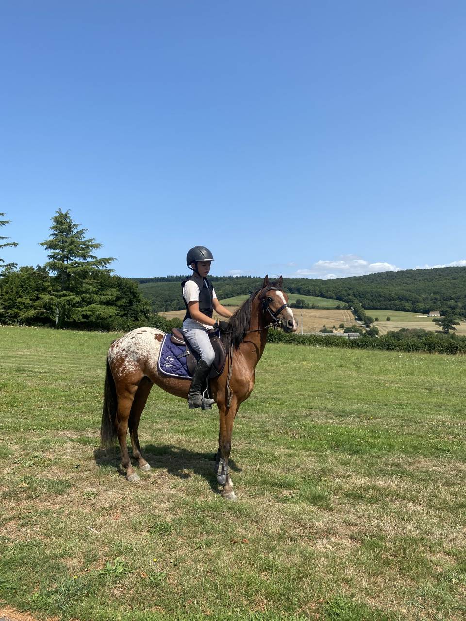 Joli poney ONC de robe appalosa