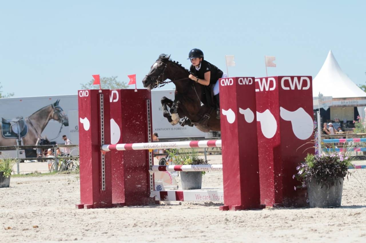 A vendre FUNKY DE BLONDE