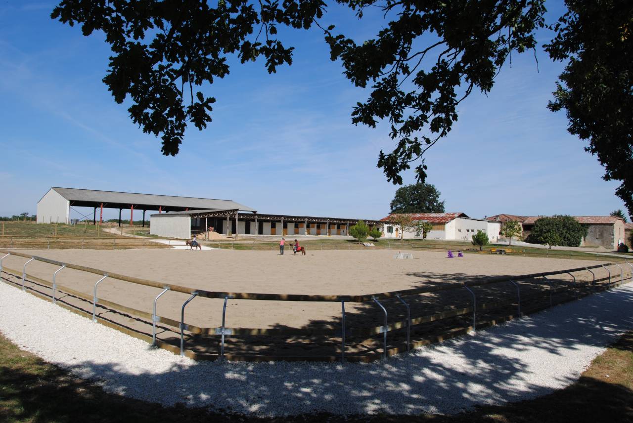 Pension chevaux et poneys