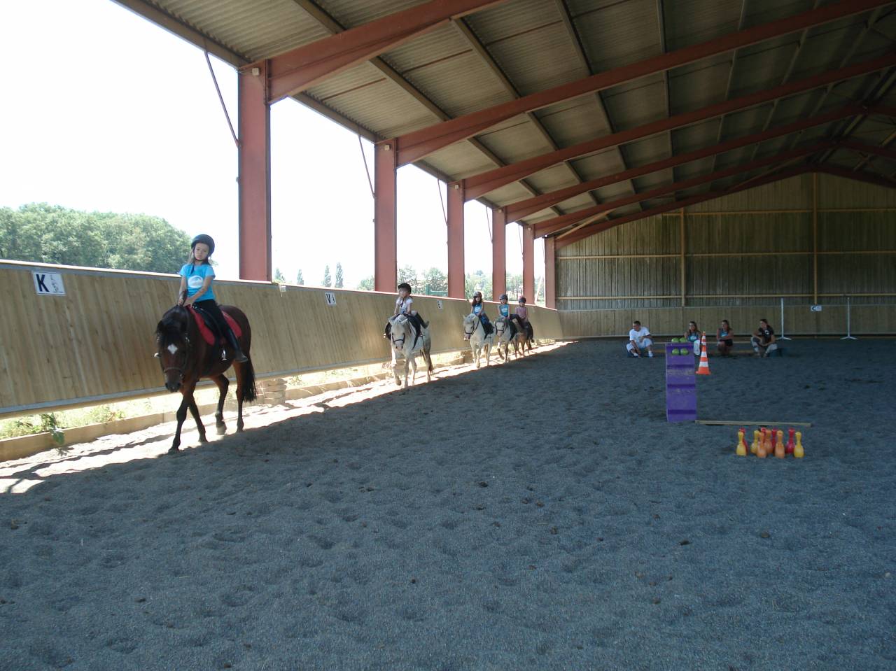 Pension chevaux et poneys