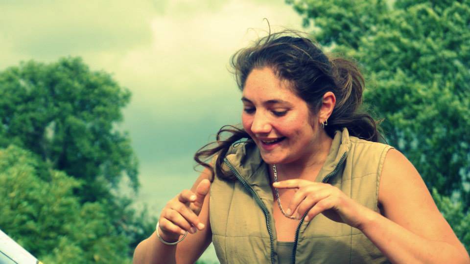 Pension chevaux et poneys