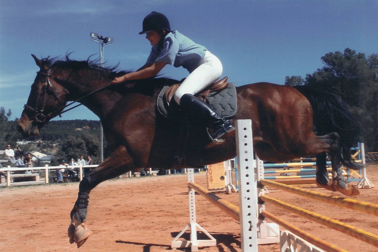 Pension chevaux et poneys