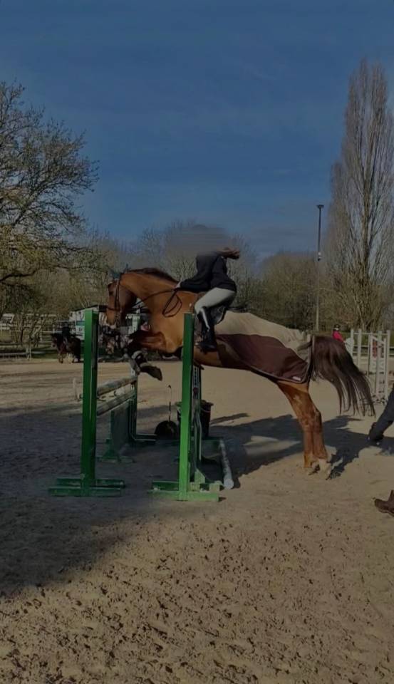 Recherche apprentissage urgent 