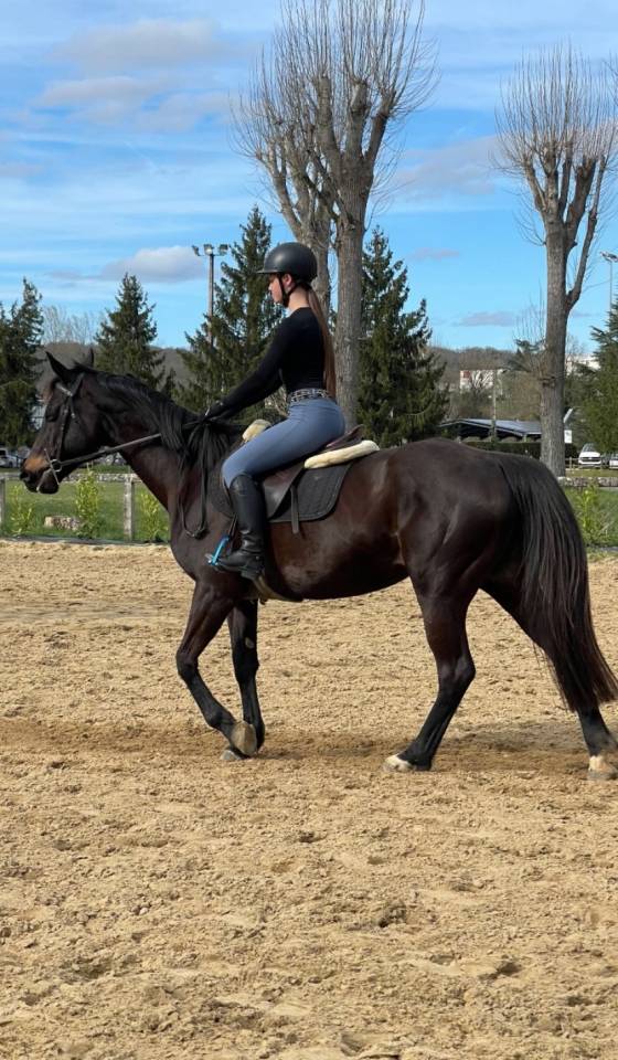 Recherche apprentissage urgent 