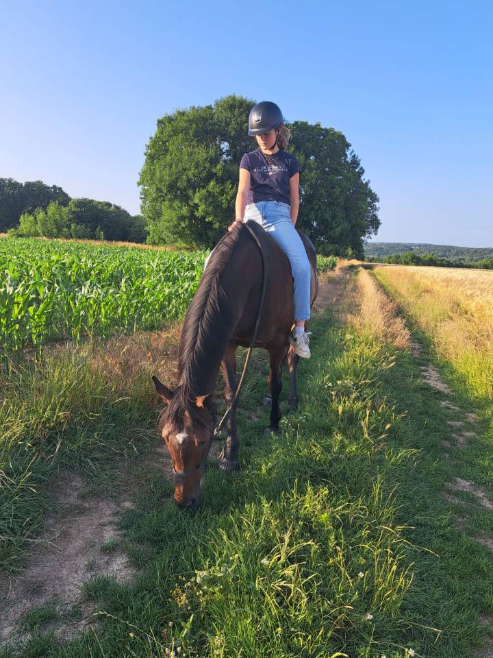 Dp cheval pour balade