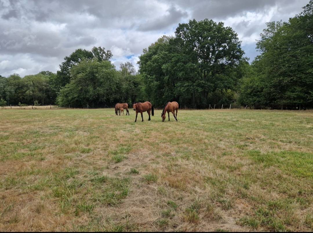 Pension pr&eacute; retraite Villiers le Mahieu (78)