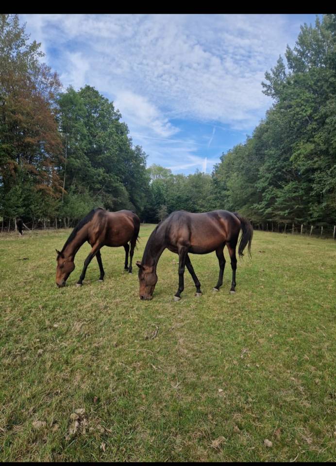 Pension pr&eacute; retraite Villiers le Mahieu (78)