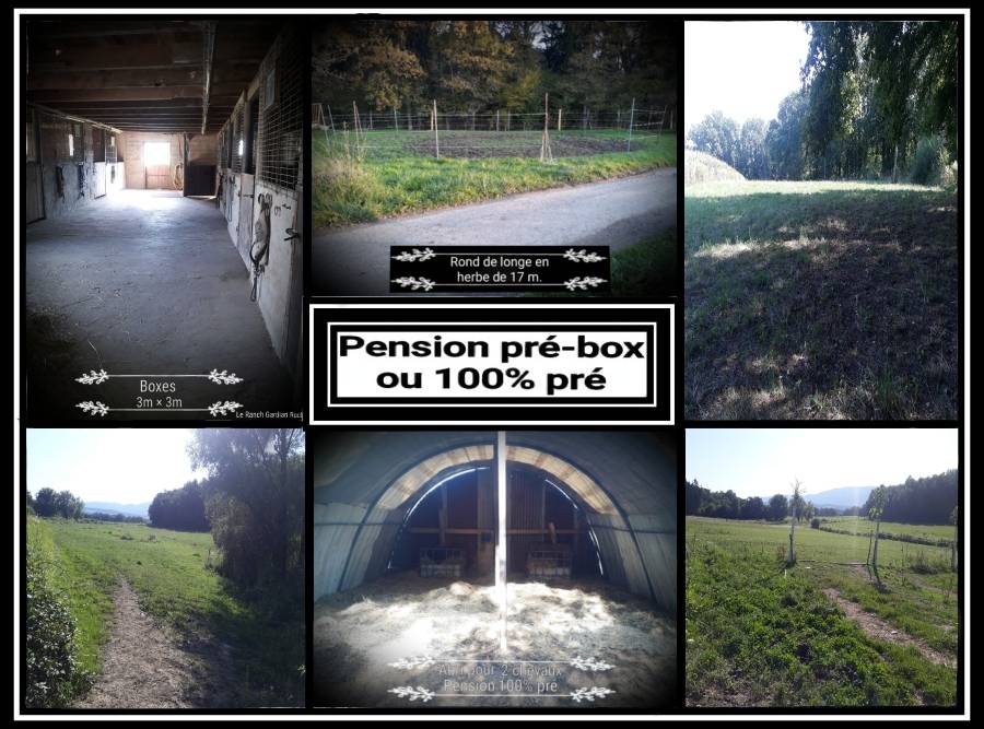 Pension pour chevaux