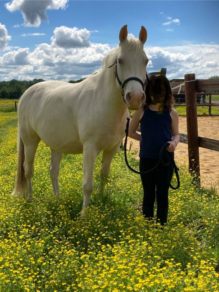 AV HONGRE PRE OC - 11 ans - Crème - 3 500€ (à négocier)