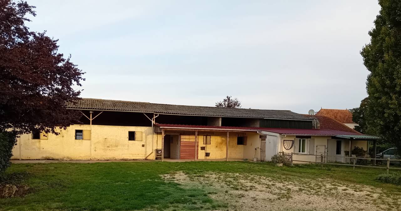 964767_1758889849_7537.jpg