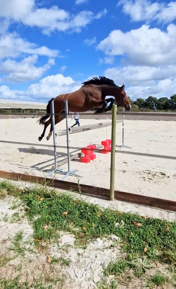 Litonya des Edennes SF 4ans 