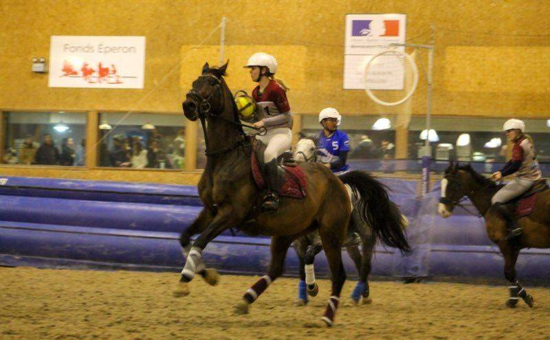 Cheval pur sang