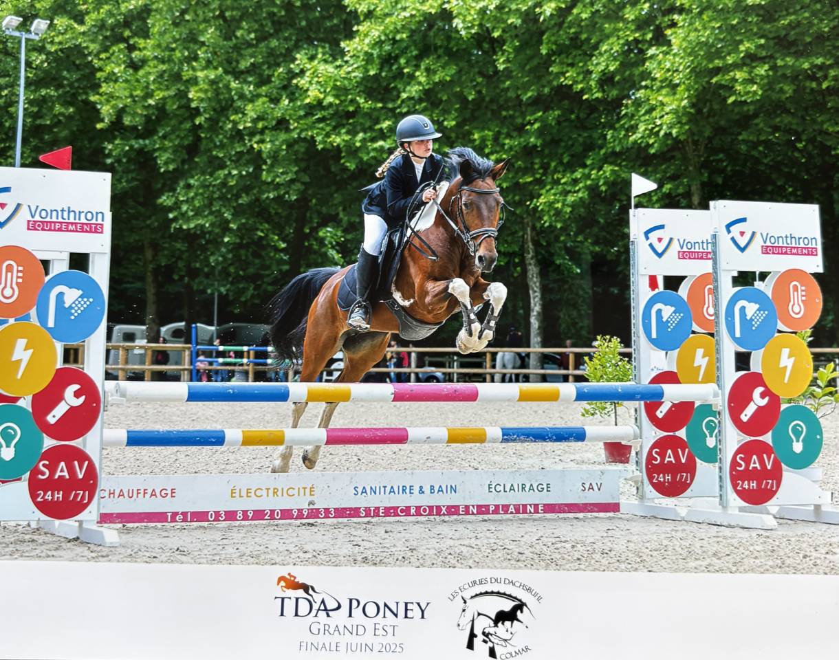 Poney de sport ou de loisirs D 11 ans