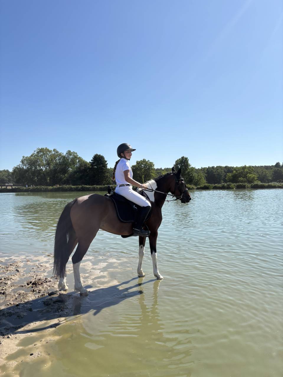 Poney de sport ou de loisirs D 11 ans