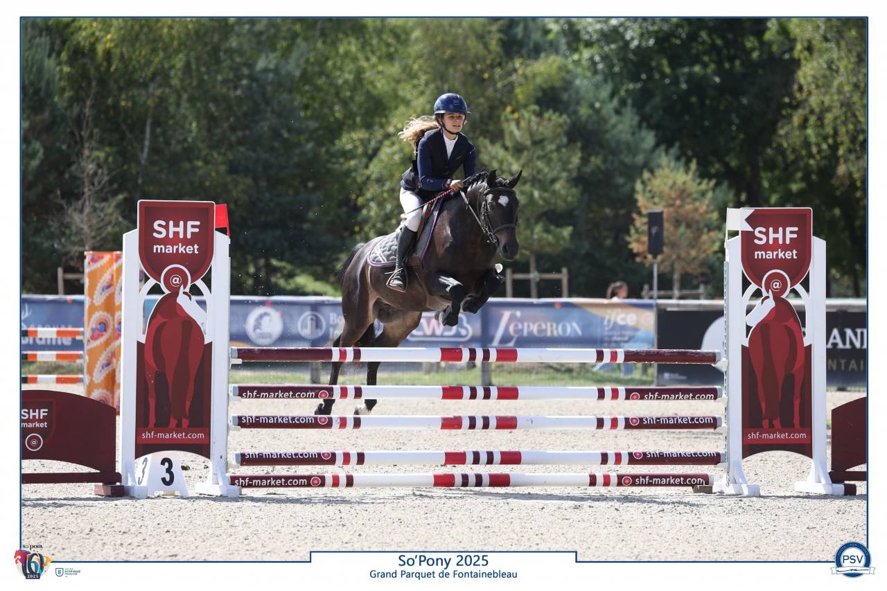 PFS hongre 5 ans cso