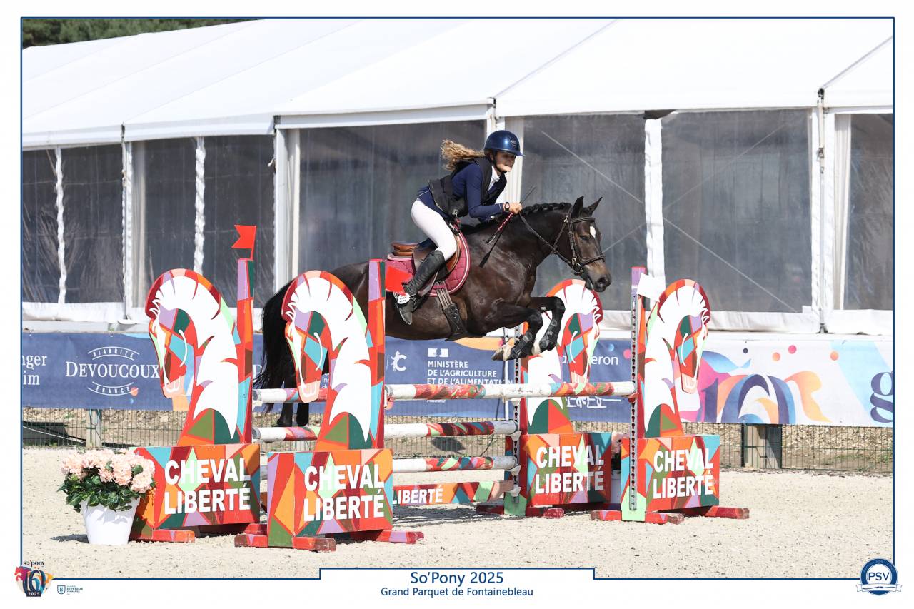 PFS hongre 5 ans cso