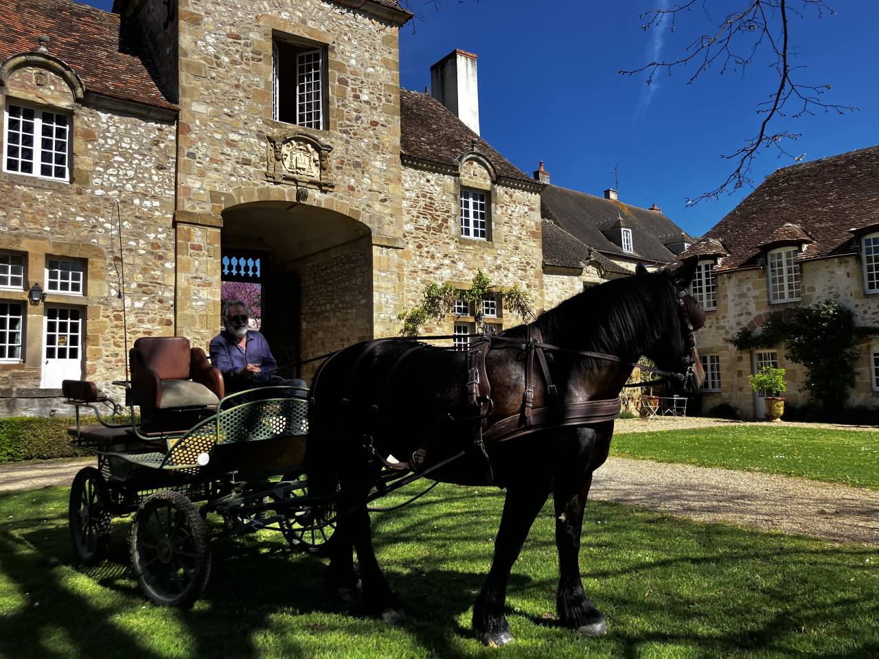 Jument Cob Normand, 13 ans avec/ou sans son attelage