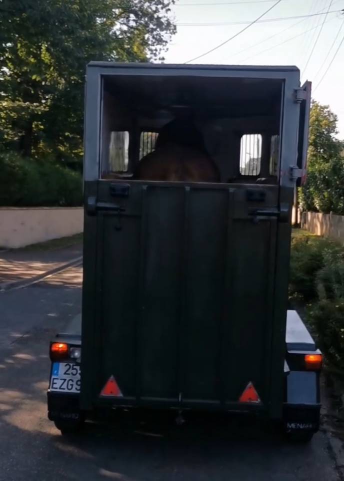 Location - VAN 1,5 places dep 78 proche Plaisir 