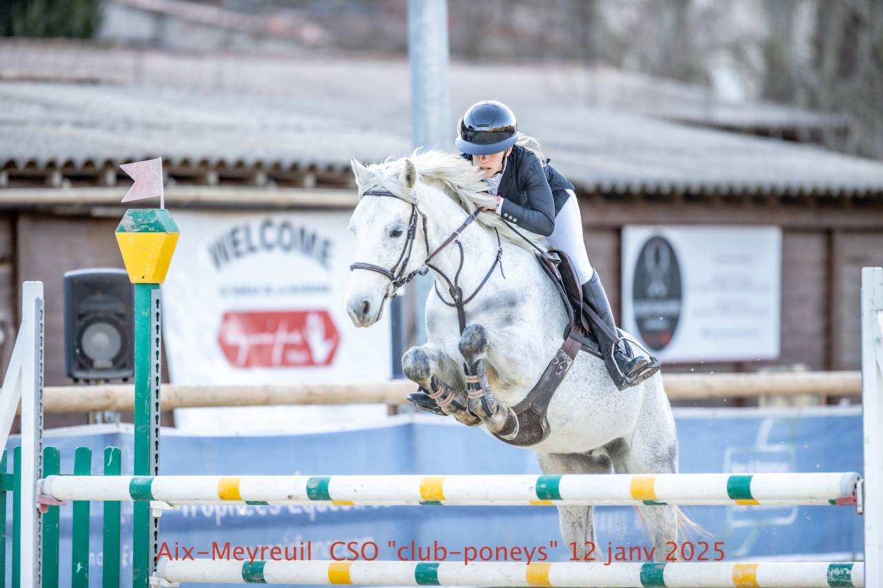 Poney Connemara 6 ans 