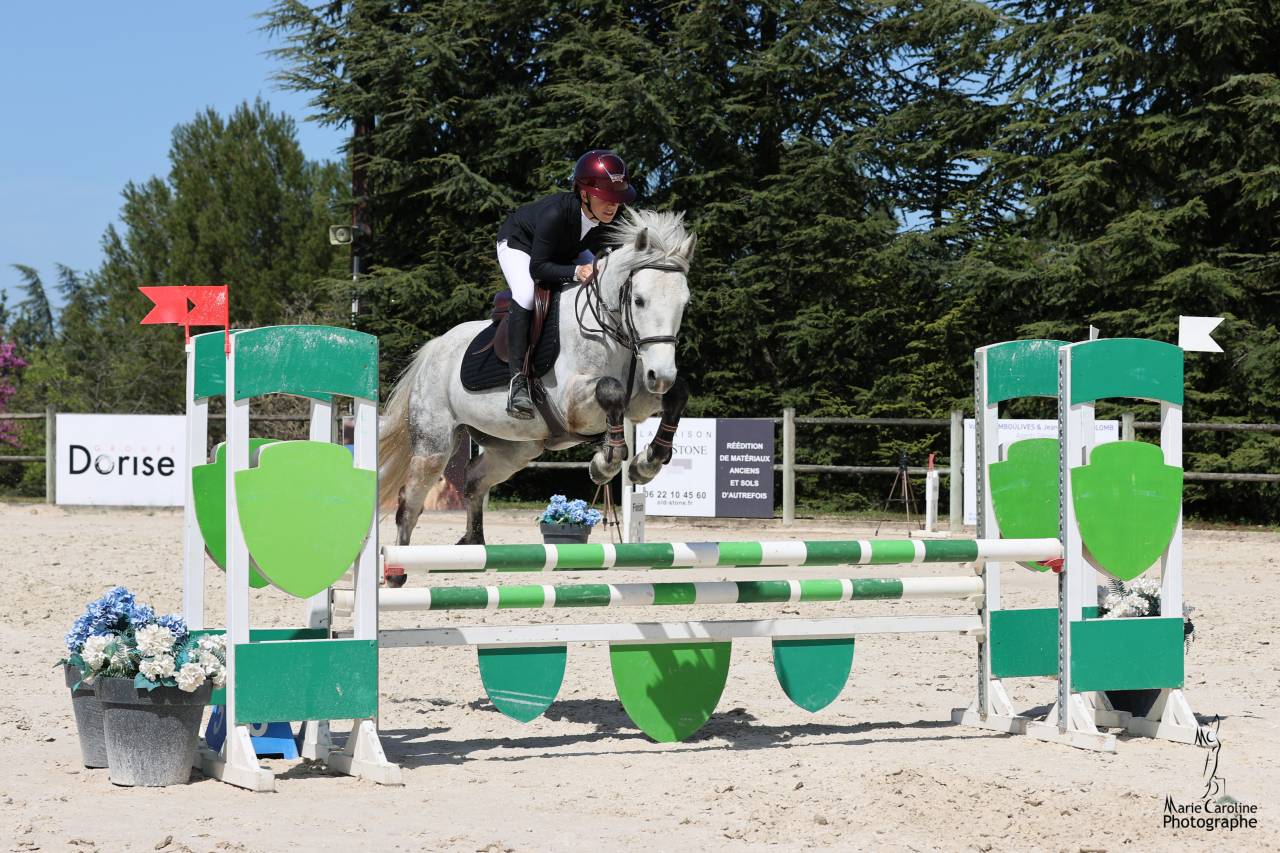 Poney Connemara 6 ans 