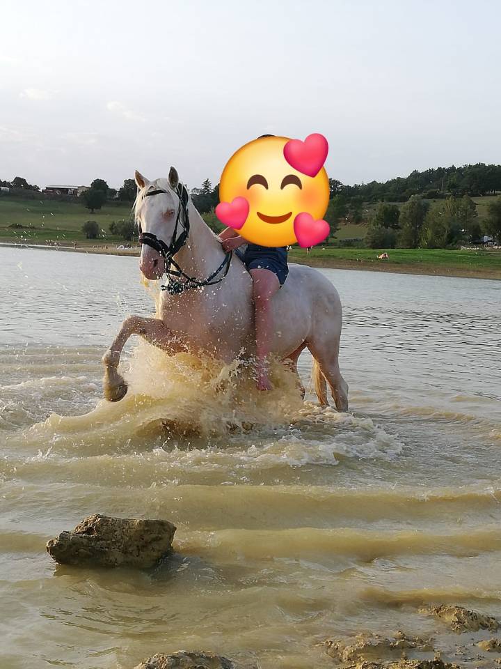 VENDS BURDY HONGRE CREME 15 ANS