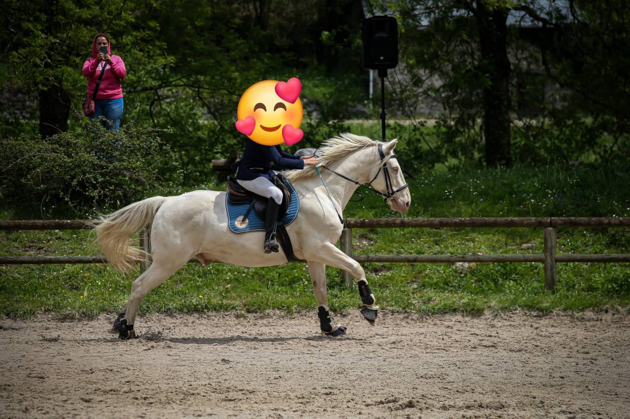 VENDS BURDY HONGRE CREME 15 ANS