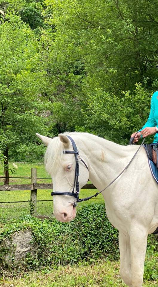 VENDS BURDY HONGRE CREME 15 ANS