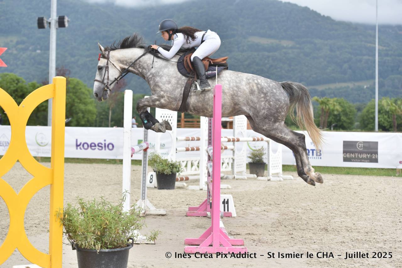 Cheval 8 ans tourne sur 115-120cm