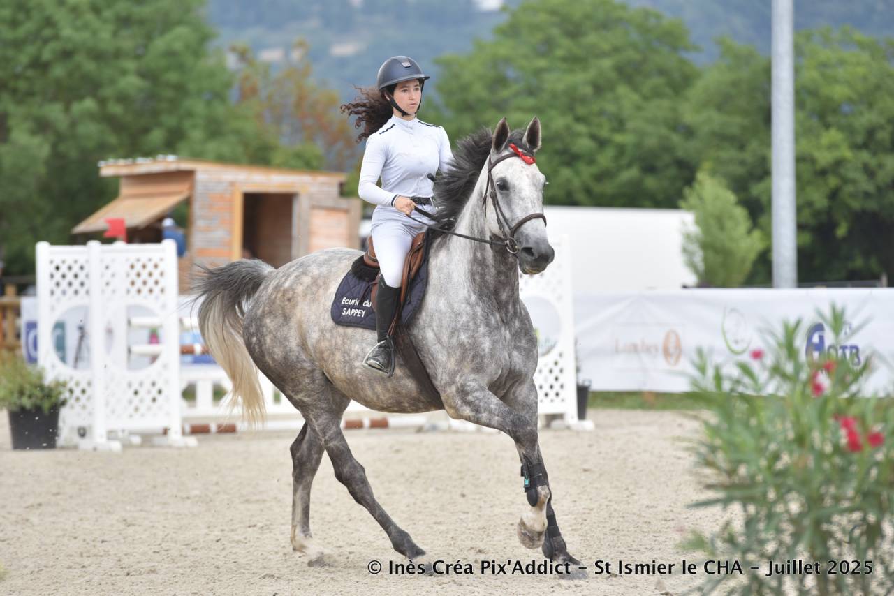 Cheval 8 ans tourne sur 115-120cm