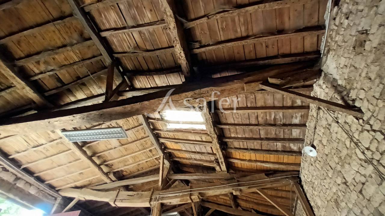 965017_1757471611_8368.jpg