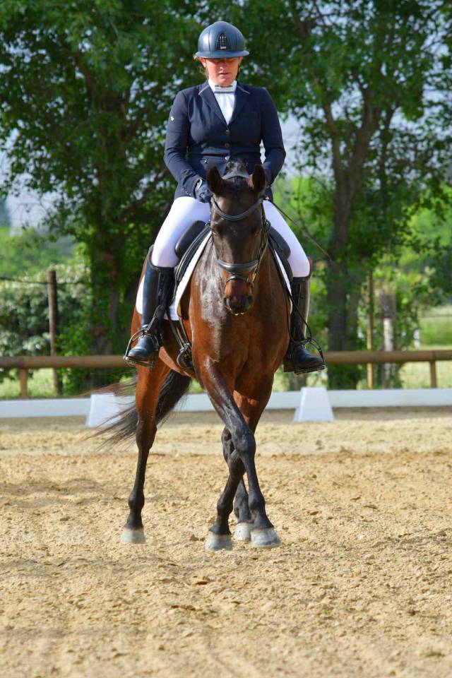 Jument Dressage Experience en compétition 