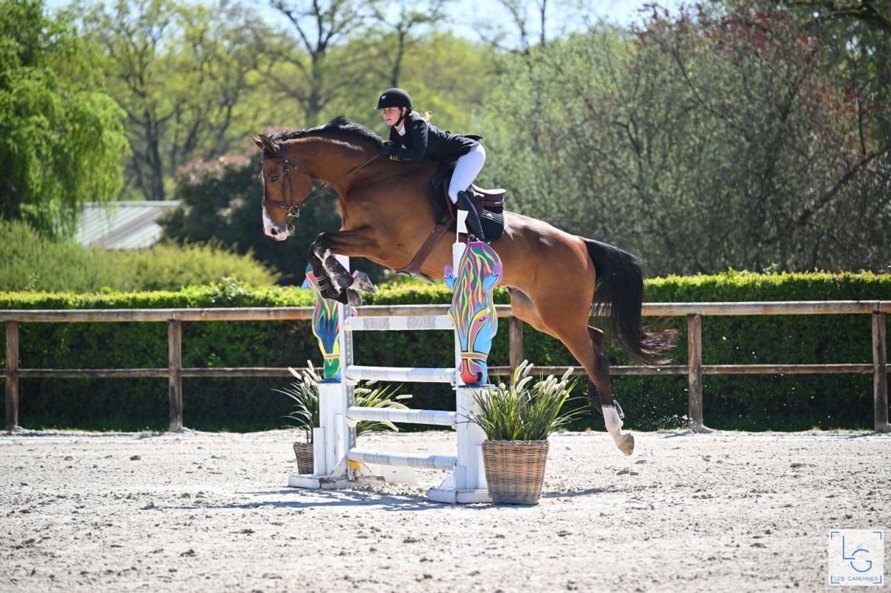 HONGRE - 10 ANS - CSO HUNTER - EXP. 125/130