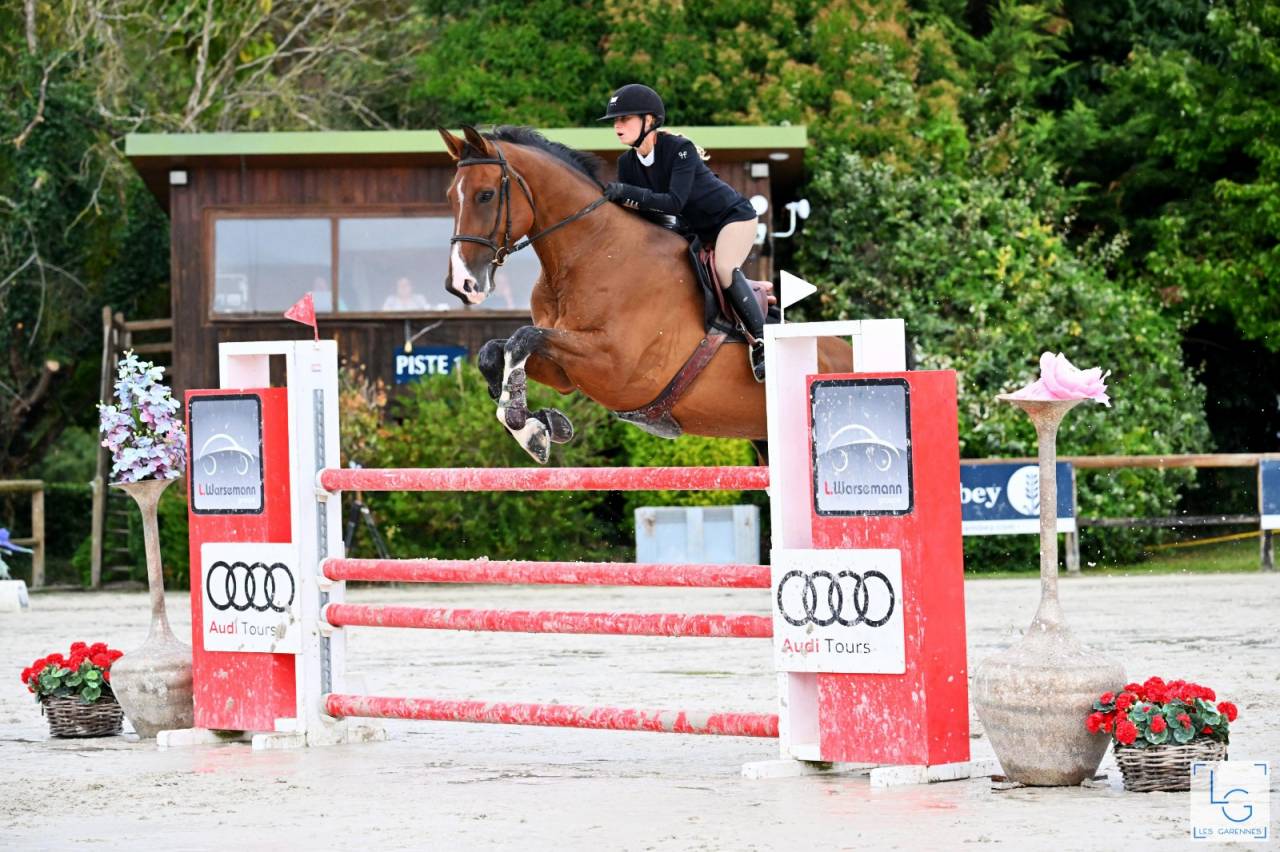 HONGRE - 10 ANS - CSO HUNTER - EXP. 125/130