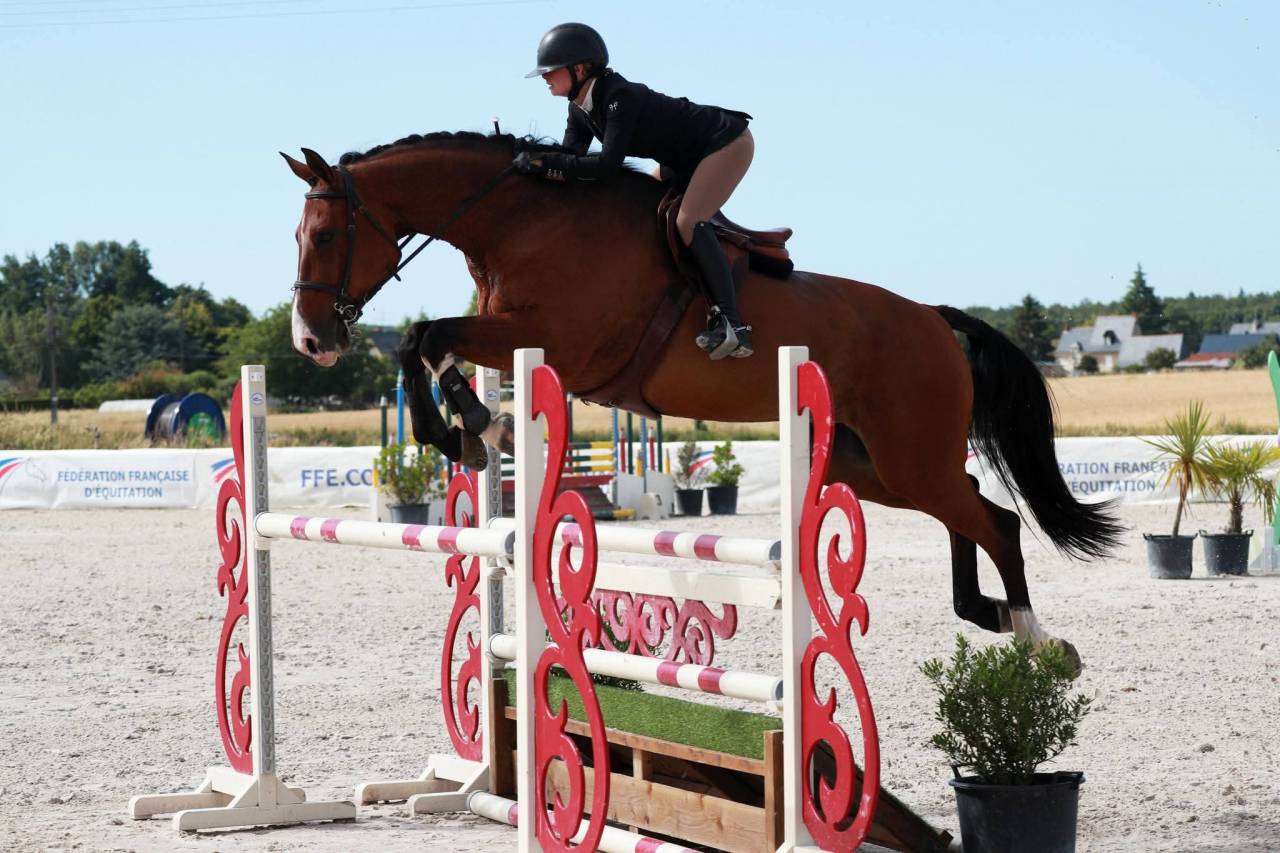 HONGRE - 10 ANS - CSO HUNTER - EXP. 125/130