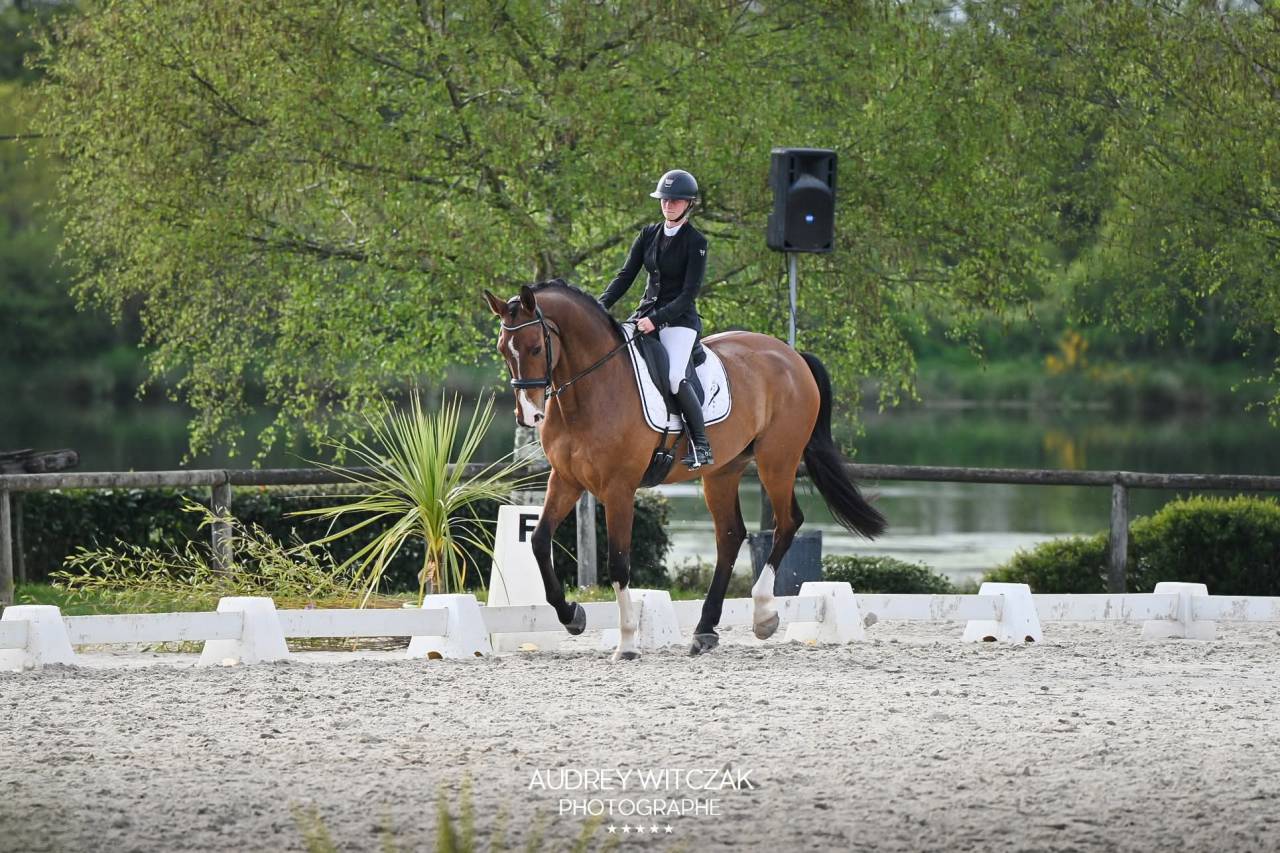 HONGRE - 10 ANS - CSO HUNTER - EXP. 125/130