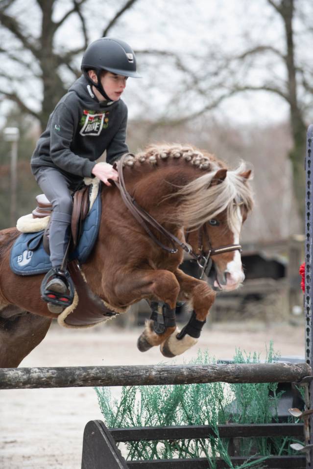 Apy de reve : DP sur Itteville 91, ou loc CSO Dressage