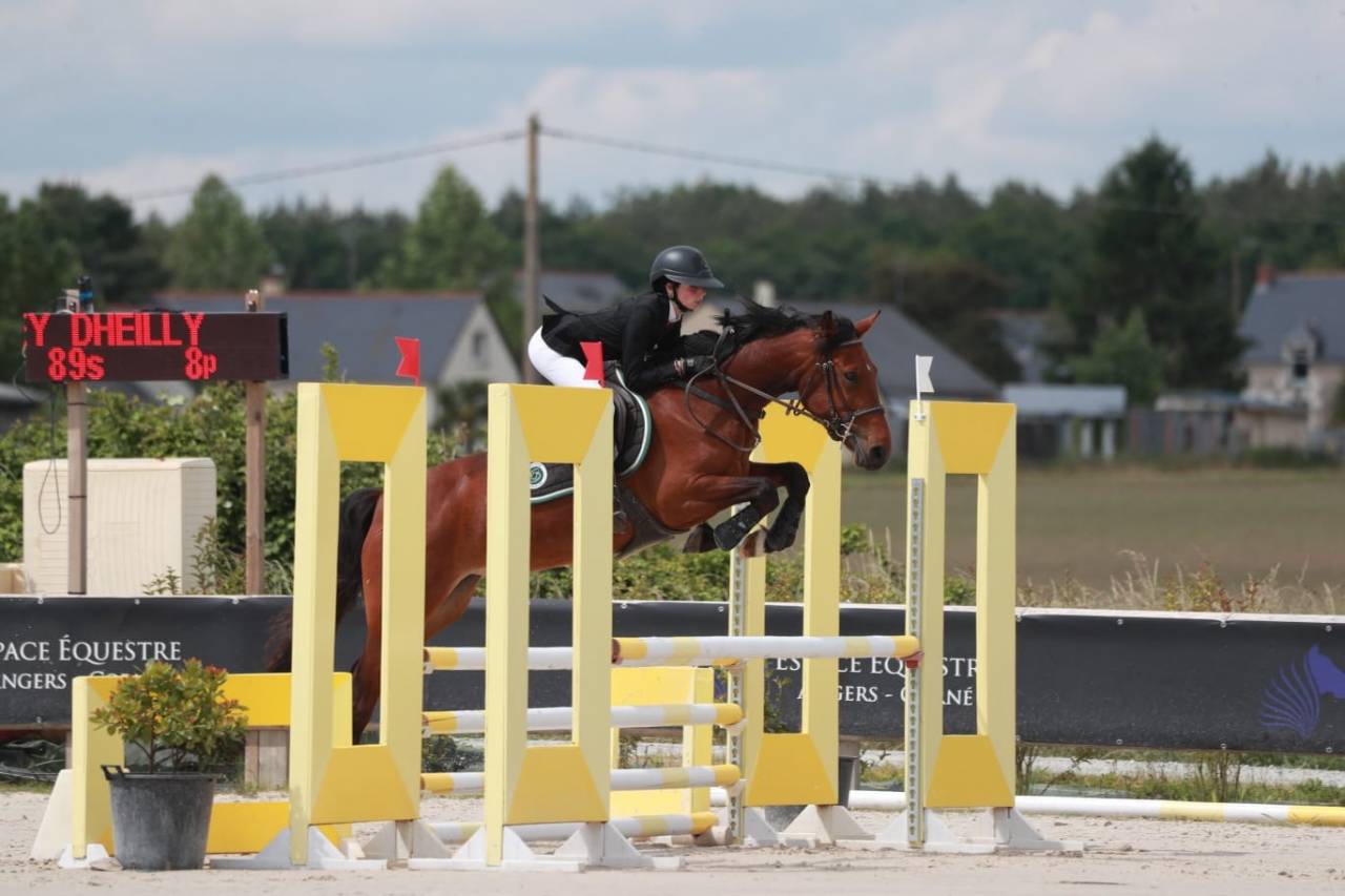 Poney