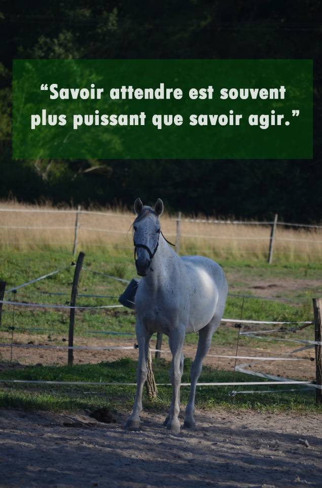 pension travail / cours particuliers / stages