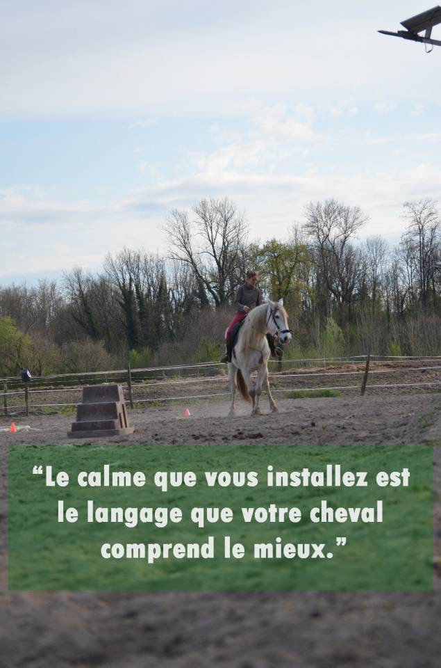 pension travail / cours particuliers / stages