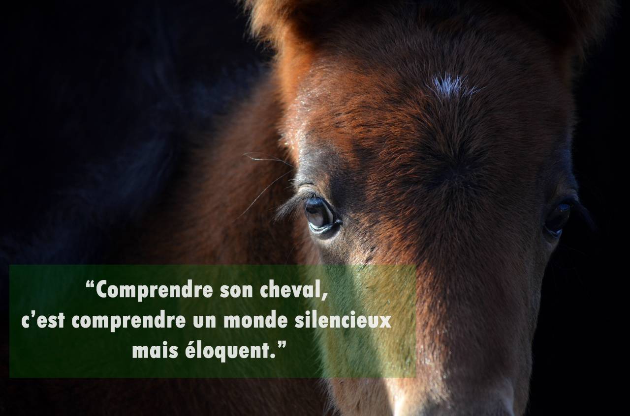 pension travail / cours particuliers / stages