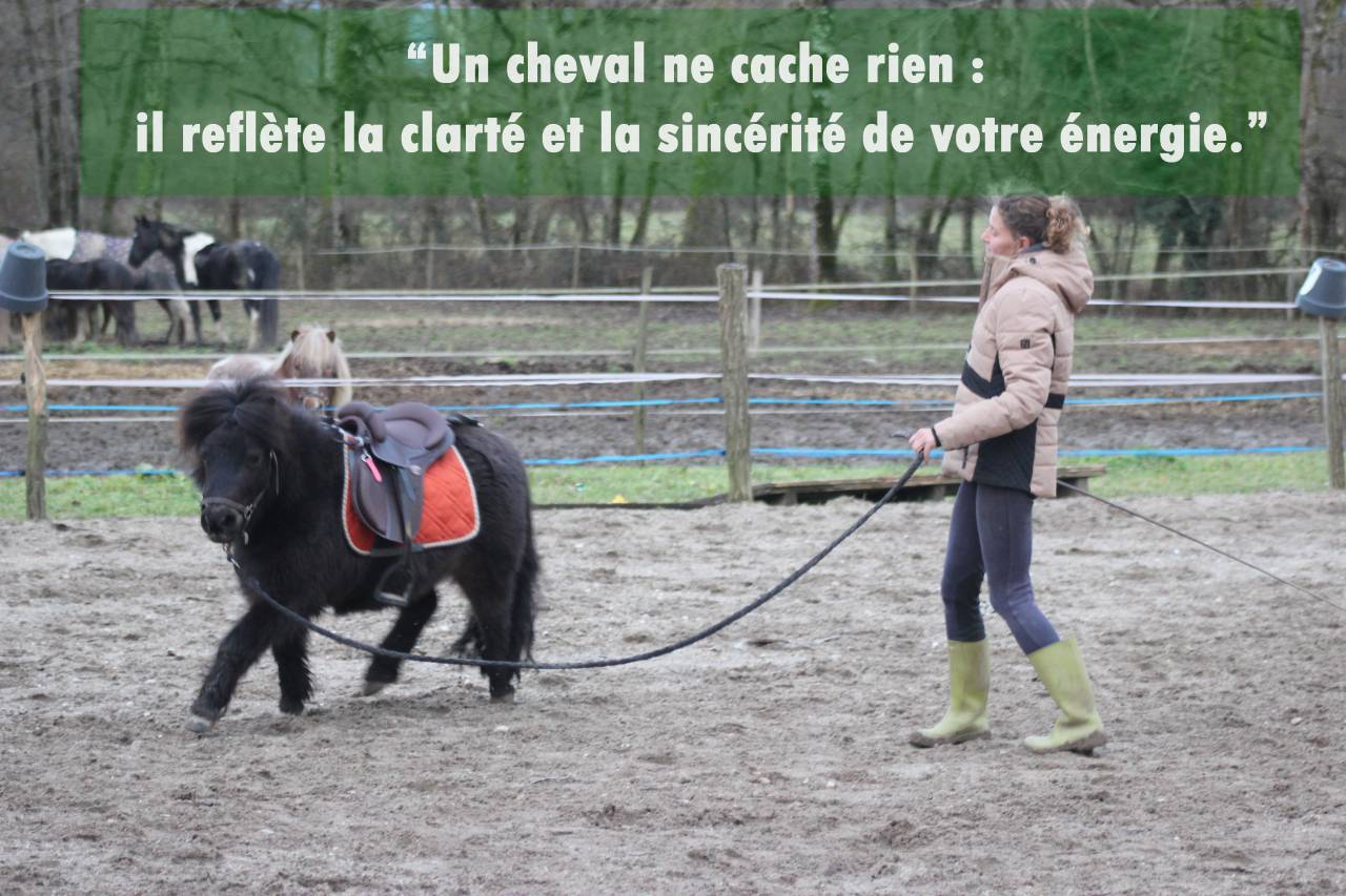 pension travail / cours particuliers / stages