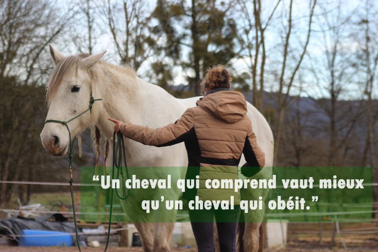 pension travail / cours particuliers / stages