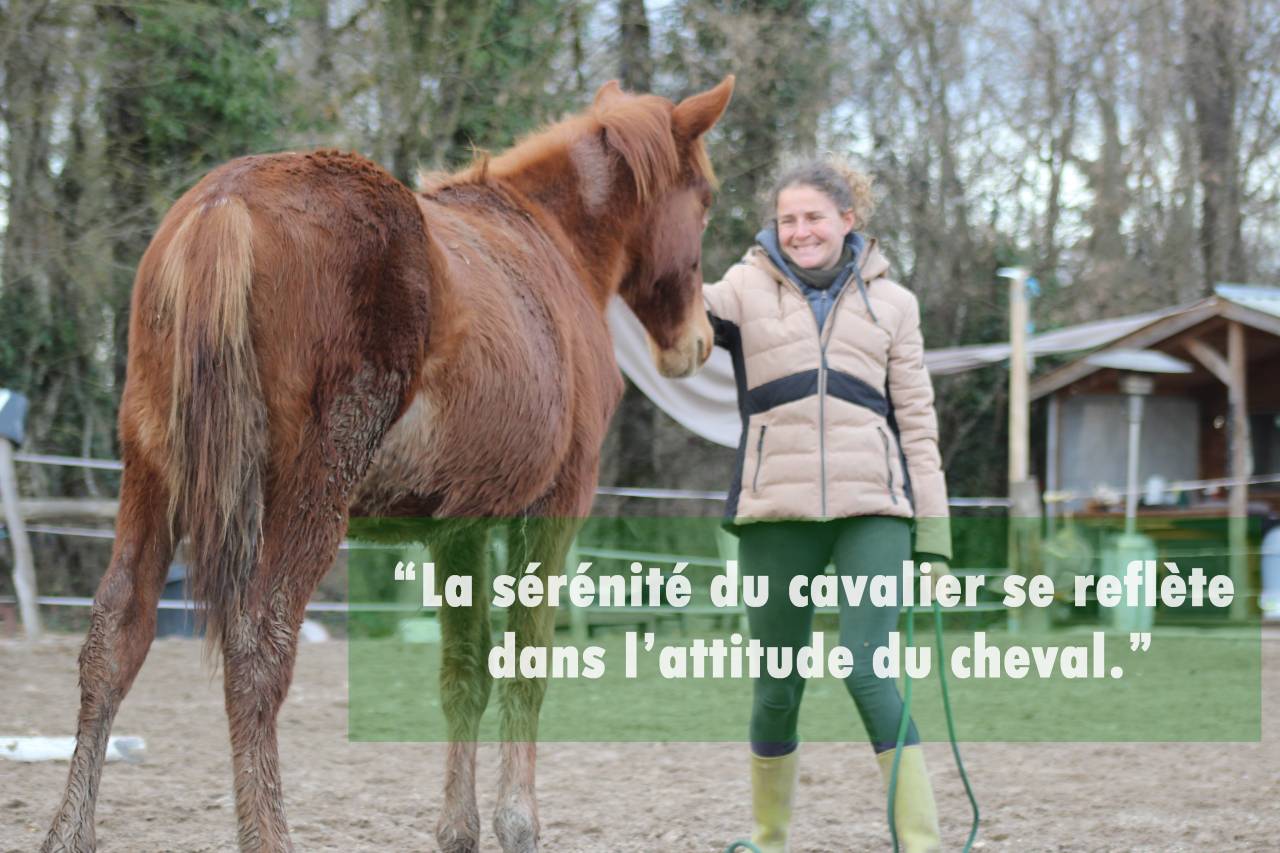 pension travail / cours particuliers / stages