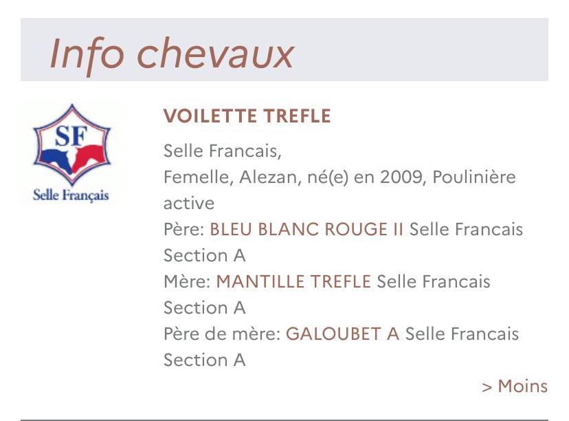 M&acirc;le 2024 par Consul dl vie 