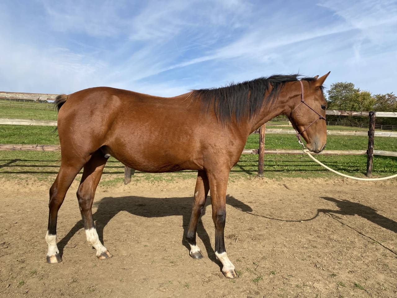 M&acirc;le 2024 par Consul dl vie 