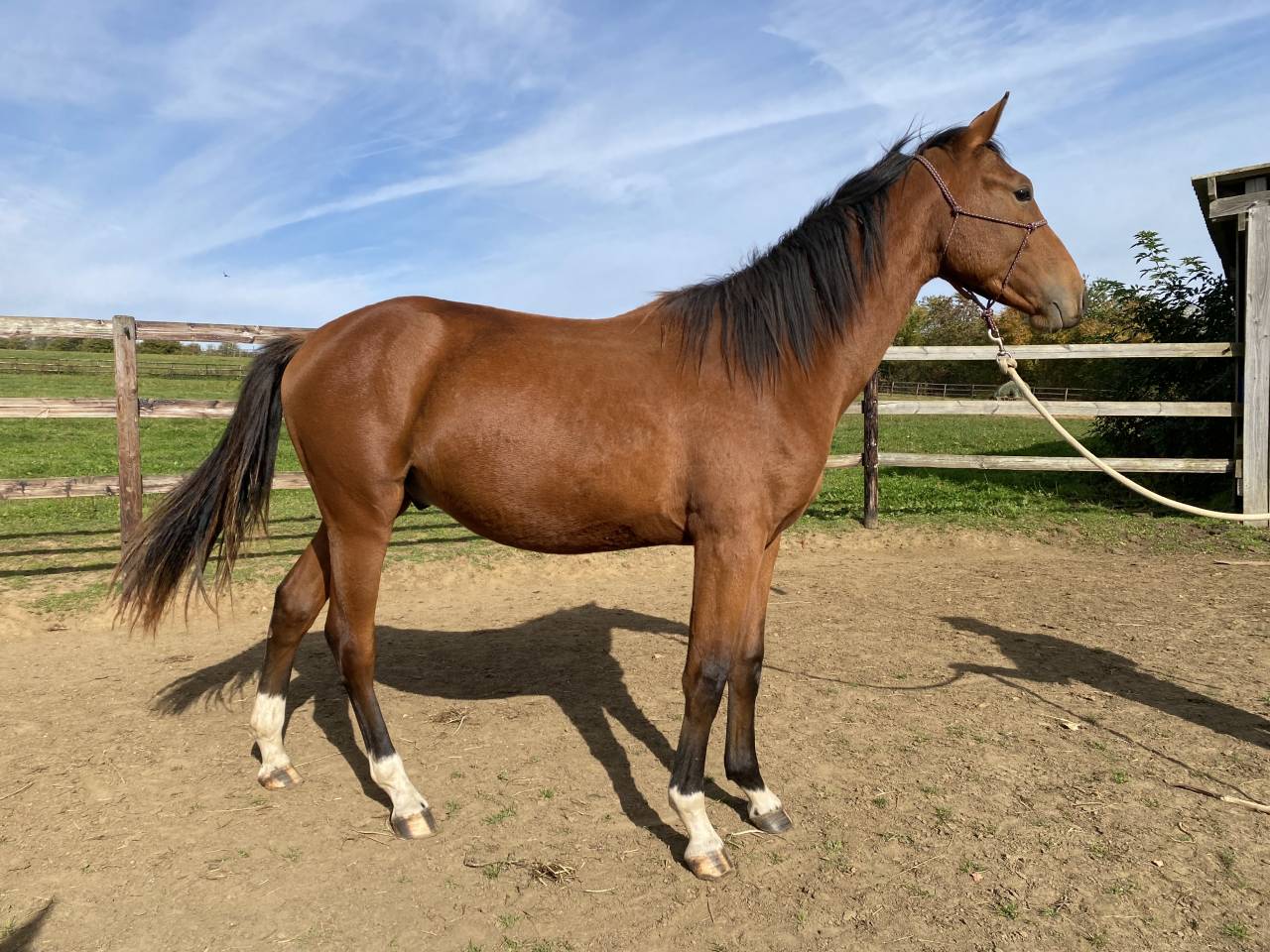 M&acirc;le 2024 par Consul dl vie 